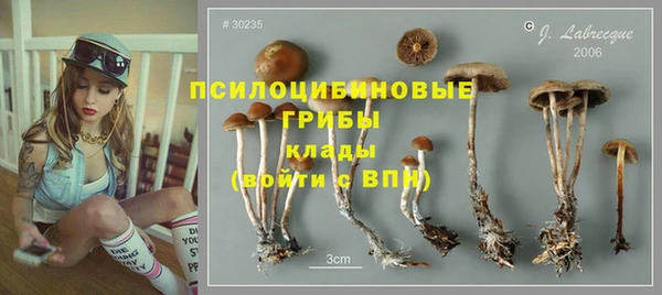 трава Балахна