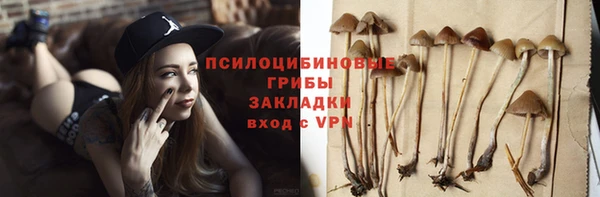 прущие крисы Баксан