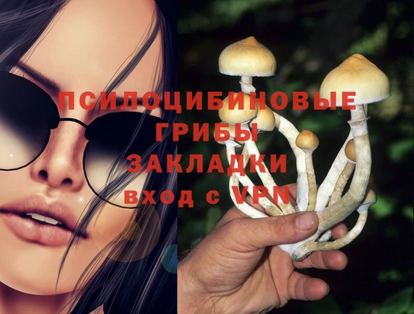 прущие крисы Баксан