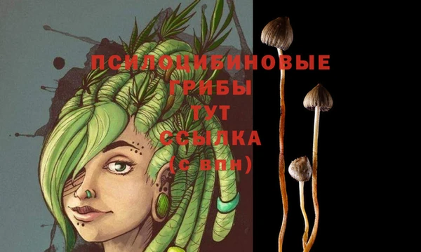 трава Балахна