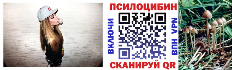 Галлюциногенные грибы MAGIC MUSHROOMS  Чекалин 